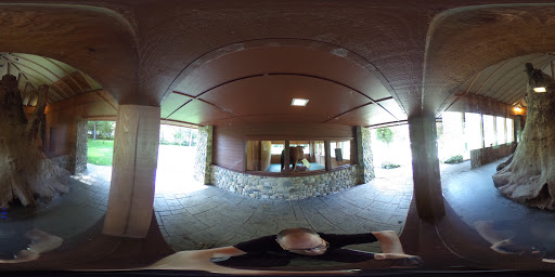 Tourist Attraction «Sycamore Stump», reviews and photos, 1402 Defenbaugh St, Kokomo, IN 46902, USA