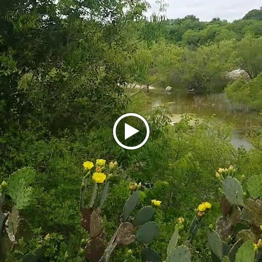 Park «Tom Slick Park / Dog Park», reviews and photos, 7400 Texas 151 Access Rd, San Antonio, TX 78227, USA