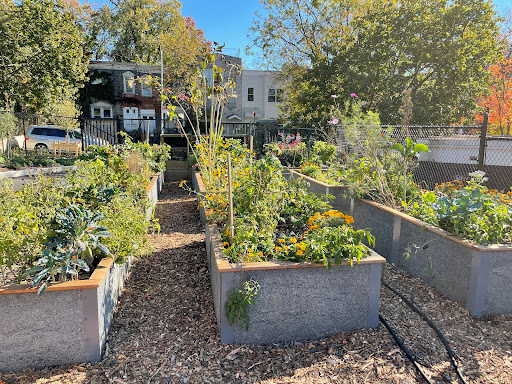 Aberdeen Street Community Garden image 1