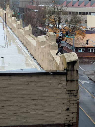 Concert Hall «McDonald Theater», reviews and photos, 1010 Willamette St, Eugene, OR 97401, USA