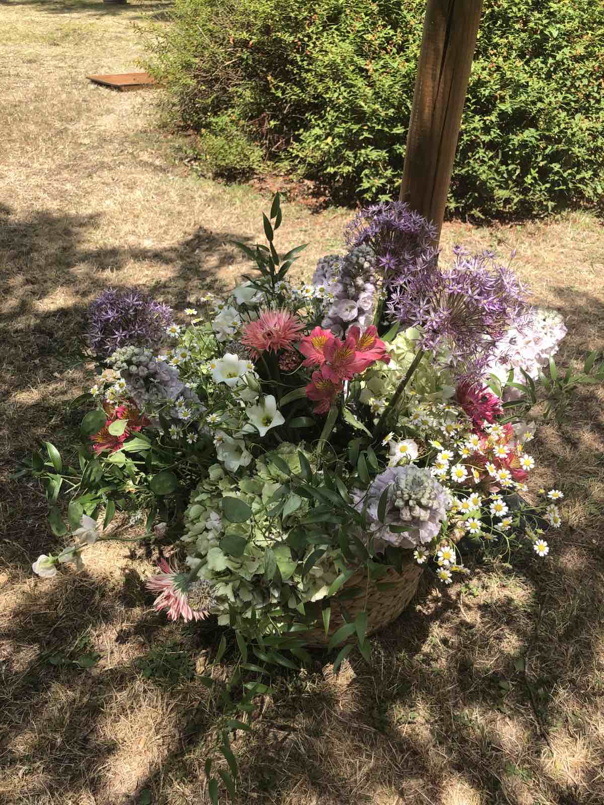 Photo n° 1 de l'avis de Béatrice.i fait le 28/06/2022 à 09:28