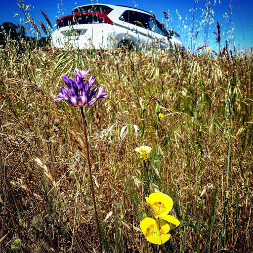 Used Car Dealer «R & R Sales, Inc. Yeswecanauto.com», reviews and photos, 624 6th St, Orland, CA 95963, USA