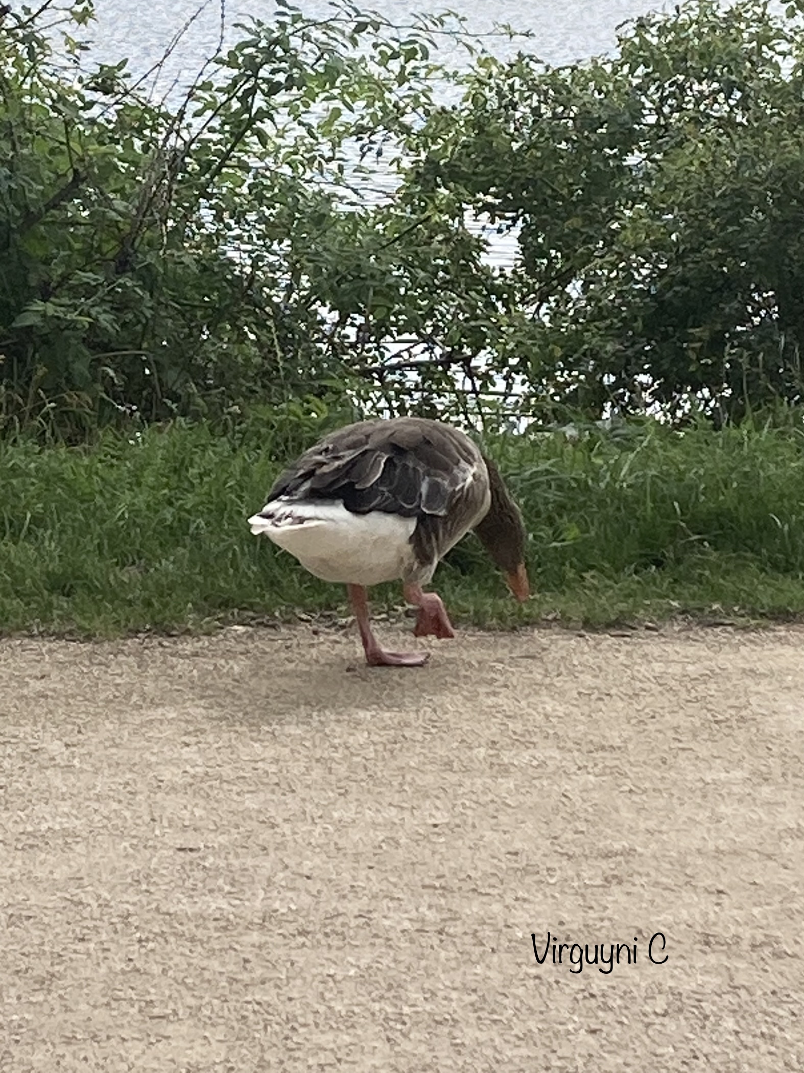 Photo n° 7 de l'avis de Virginie.n fait le 10/06/2022 à 08:34