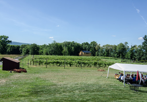 Winery «Christopher Jacobs Winery at Pennings Vineyards (Seasonally Open May-Oct)», reviews and photos, 320 Crawford St, Pine Bush, NY 12566, USA