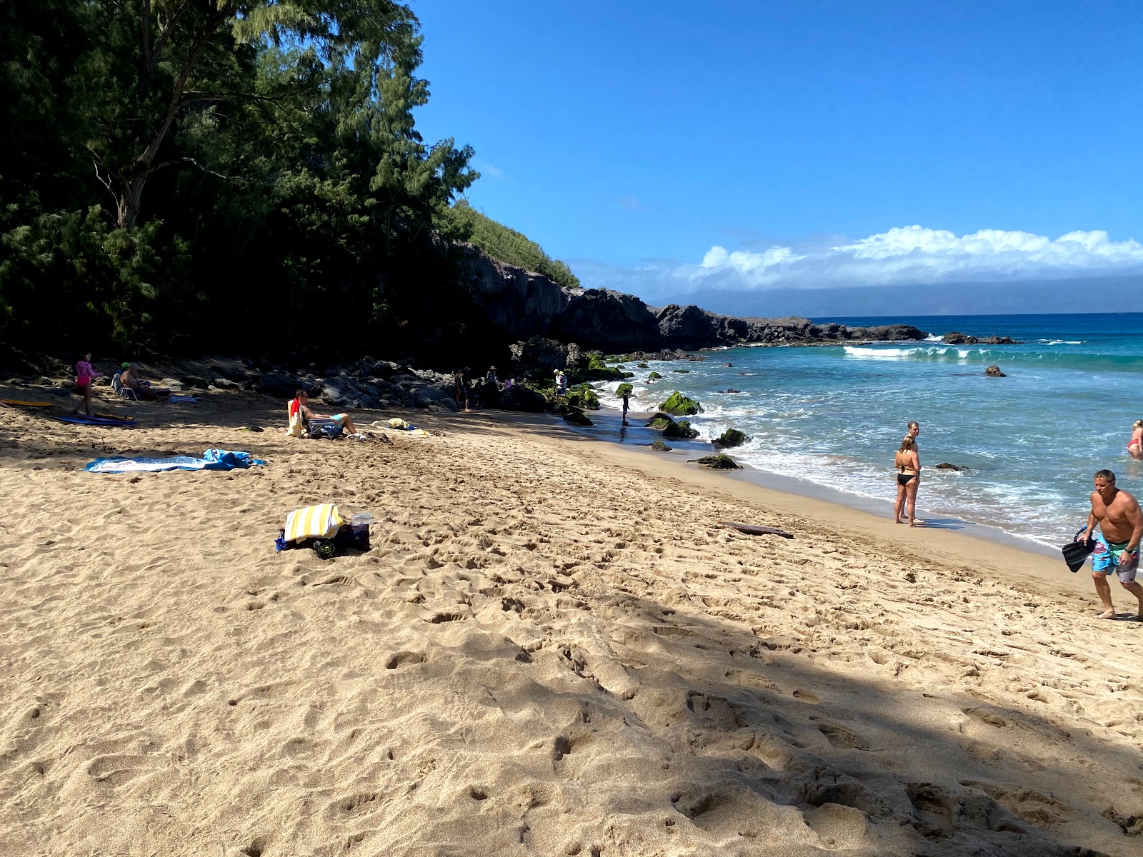 Photo de Slaughterhouse Beach - bon endroit convivial pour les animaux de compagnie pour les vacances