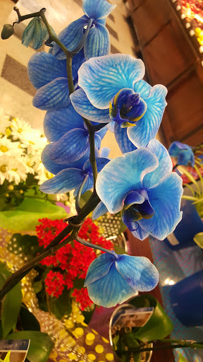 Grocery Store «Kroger», reviews and photos, 1019 Cumberland Falls Hwy, Corbin, KY 40701, USA