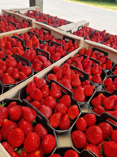 Épicerie Gie Producteurs Fruits Rouges Mont Velay Saint-Jeures