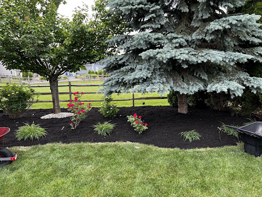 Landscaper West Toledo