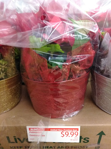 Supermarket «ALDI», reviews and photos, 2715 Peters Creek Pkwy, Winston-Salem, NC 27127, USA