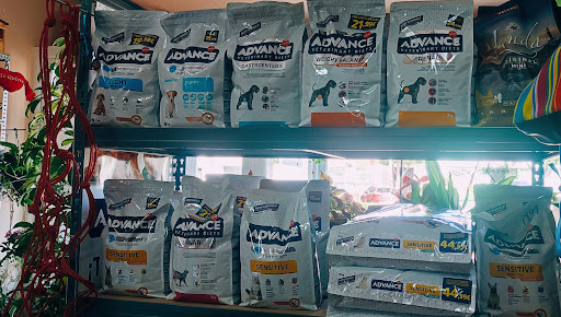 PiensosRodríguez en San Isidro de Níjar, Almería