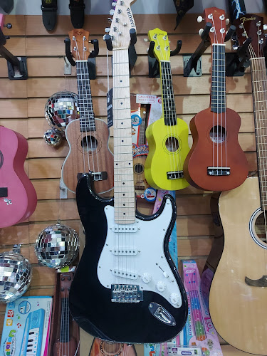 ECKOMUSIC - Tienda de instrumentos musicales