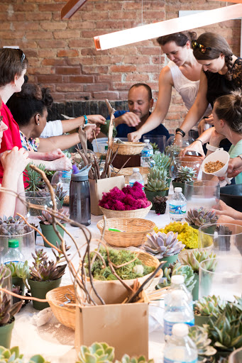 Wholesale Florist «Urban Jungle», reviews and photos, 2603 Sherman Ave NW, Washington, DC 20001, USA