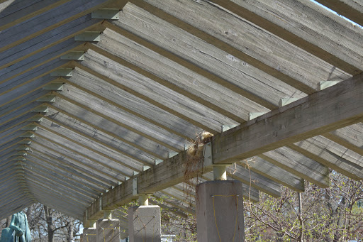 Garden «Minnehaha Falls (Hiawatha Statue)», reviews and photos, 4801 S Minnehaha Park Dr, Minneapolis, MN 55417, USA