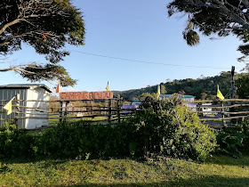 Camping Pudú, Huentemó