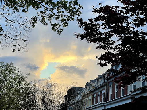 Park «Crispus Attucks Park», reviews and photos, 23 U St NW, Washington, DC 20001, USA