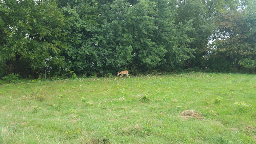 Park «Wing Park Golf Course», reviews and photos, 1010 Wing St, Elgin, IL 60123, USA