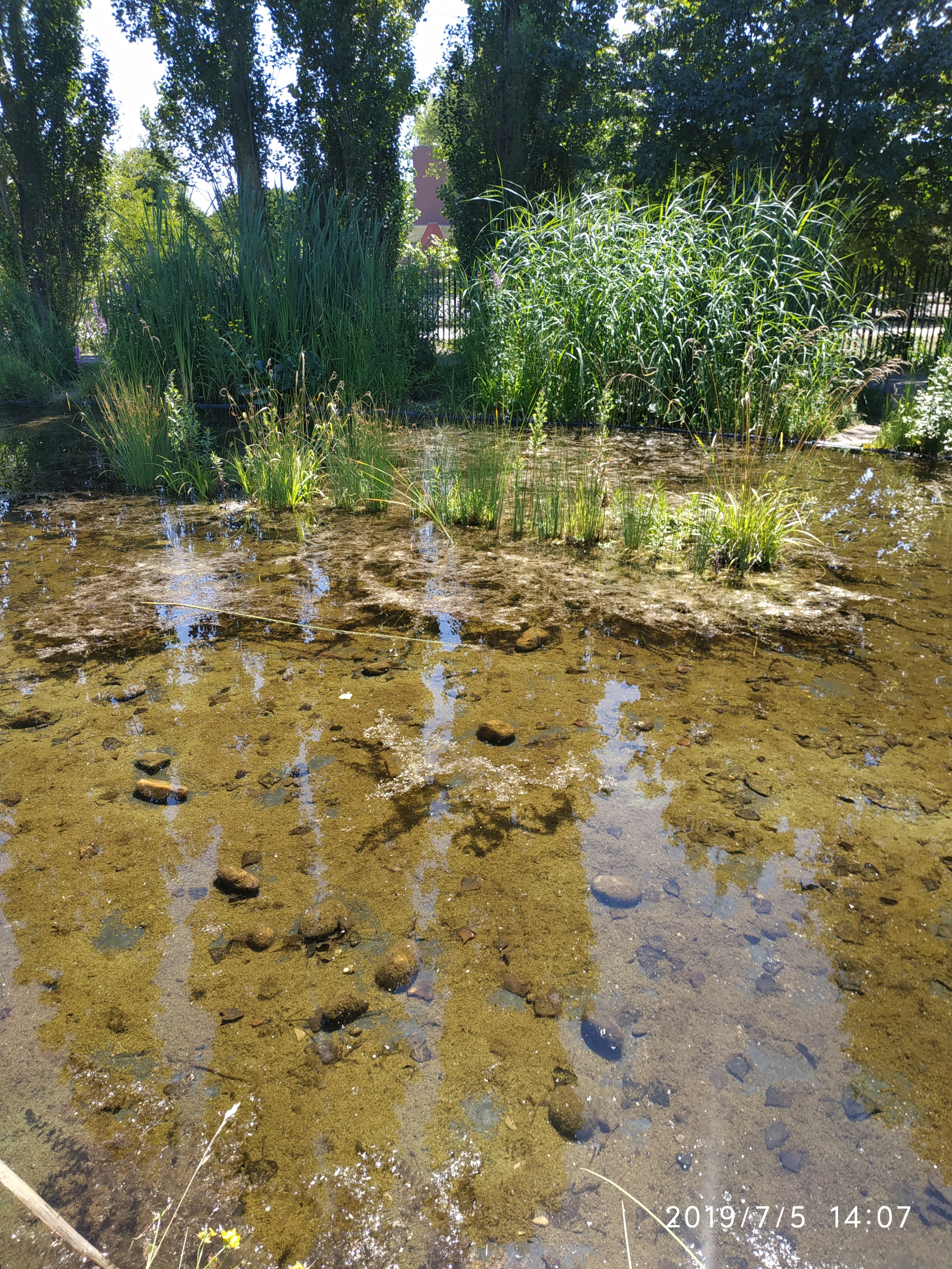 Photo n° 2 de l'avis de Ludo.o fait le 11/06/2019 à 10:55