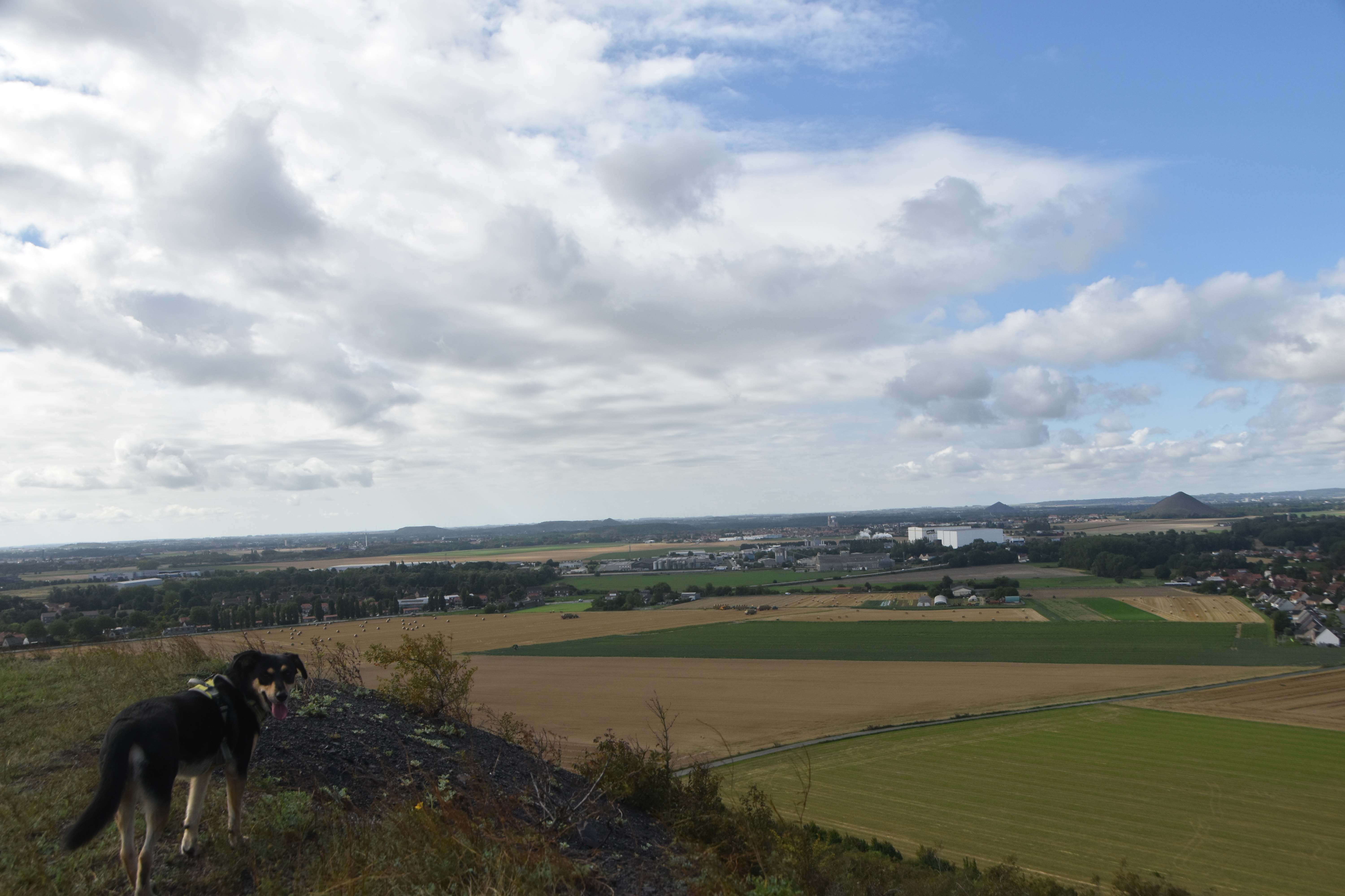 Photo n° 4 de l'avis de Robb.t fait le 17/08/2023 à 13:46