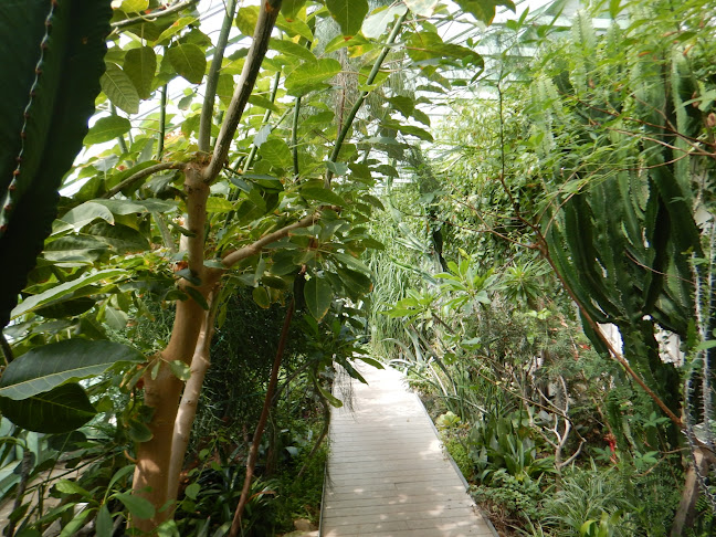 Palm House, Helikon Castle Museum - Múzeum