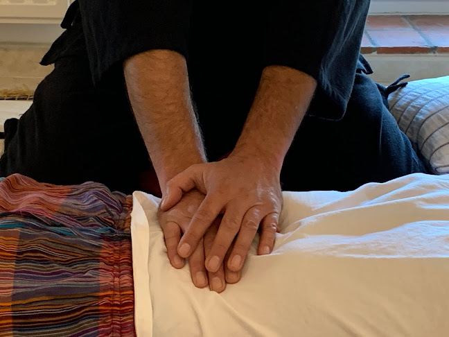 Beoordelingen van La Voie du Ciel - Shiatsu in Gembloers - Massagetherapeut