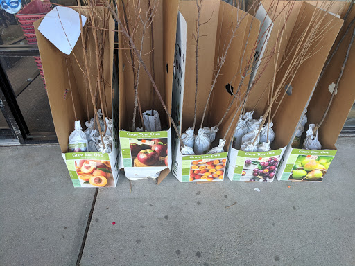 Discount Store «Ocean State Job Lot», reviews and photos, 114 Main St, Medway, MA 02053, USA