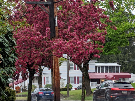 Park «Ward Park», reviews and photos, 57 Orchard St, Marlborough, MA 01752, USA