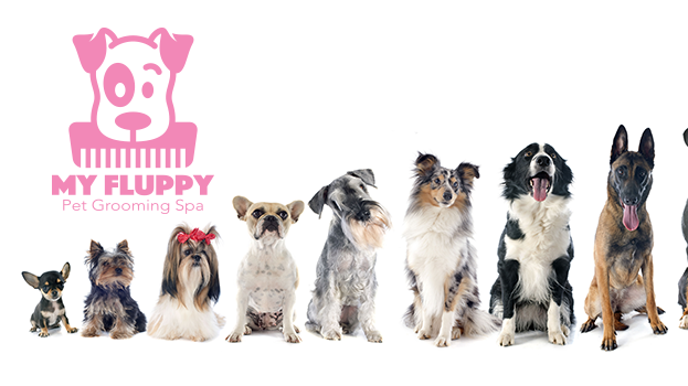 My Fluppy: Pet Grooming Spa