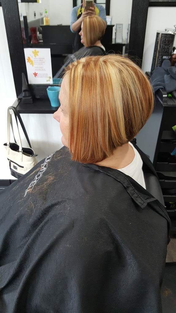 Salon 102 49236