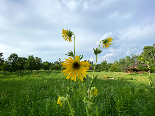 Park «Pioneer Park», reviews and photos, 10505 Deerfield Rd, Montgomery, OH 45242, USA