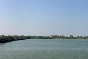 Vaduvur Lake image