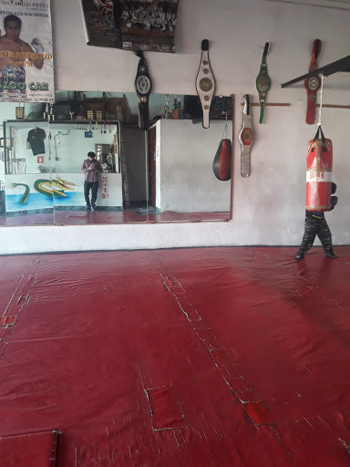 Escuela de tai chi Ecatepec de Morelos