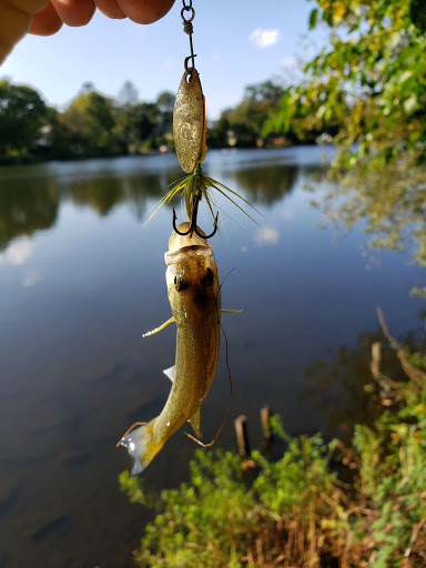 Park «Post Park», reviews and photos, 451 Unqua Rd, Massapequa Park, NY 11762, USA