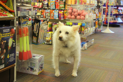 Toy Store «Brookside Toy and Science», reviews and photos, 330 W 63rd St, Kansas City, MO 64113, USA