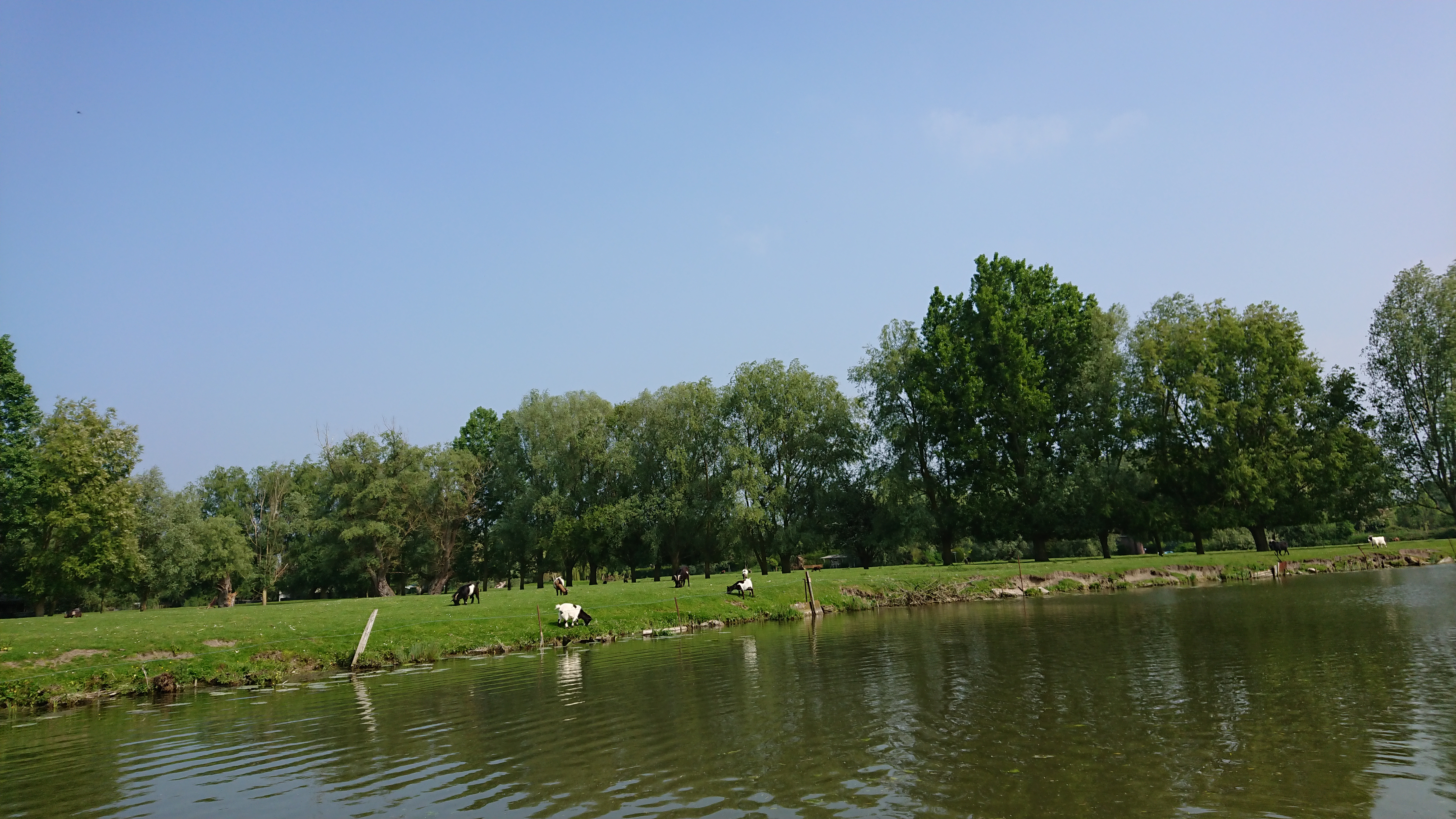 Photo n° 34 de l'avis de Perso.e fait le 20/05/2018 à 16:43