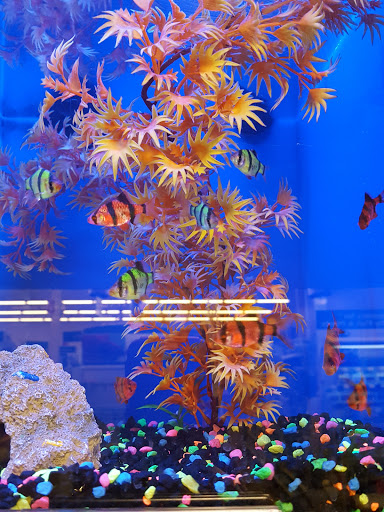 Pet Supply Store «PetSmart», reviews and photos, 320 W Town Square Way, Oak Creek, WI 53154, USA