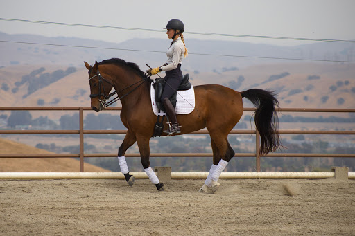 Horse trainer Santa Clara