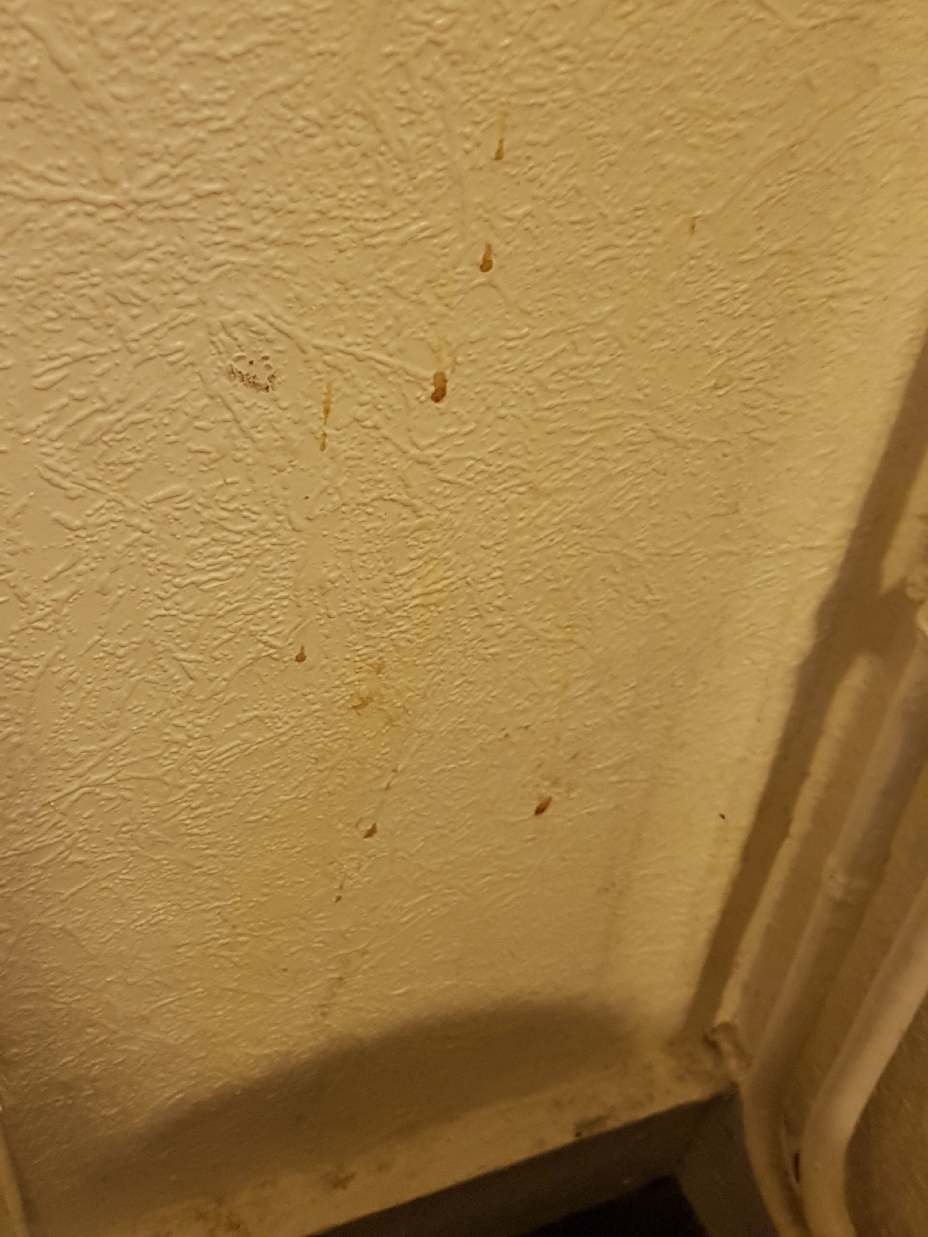 Photo n° 7 de l'avis de Vincent.N fait le 25/03/2018 à 20:27