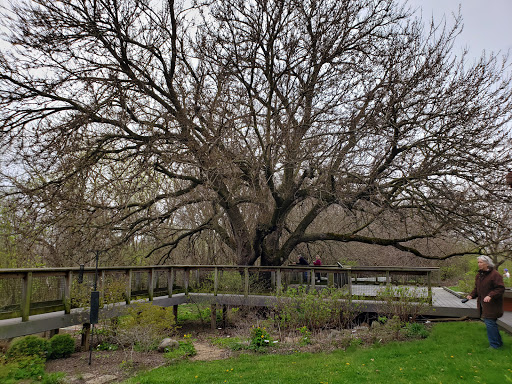 Park «Scioto Audubon Metro Park.», reviews and photos, 400 W Whittier St, Columbus, OH 43215, USA