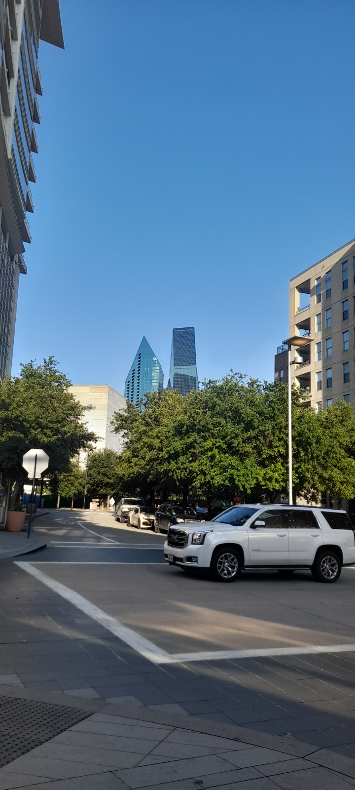 Dallas view