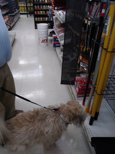 Hardware Store «Ace Peninsula Hardware», reviews and photos, 12490 Warwick Blvd, Newport News, VA 23606, USA