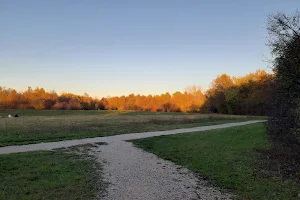 Bosco di Franca image