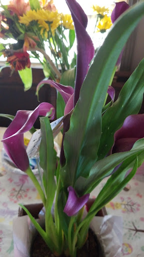 Florist «Cardwell Florist», reviews and photos, 32109 Plymouth Rd, Livonia, MI 48150, USA