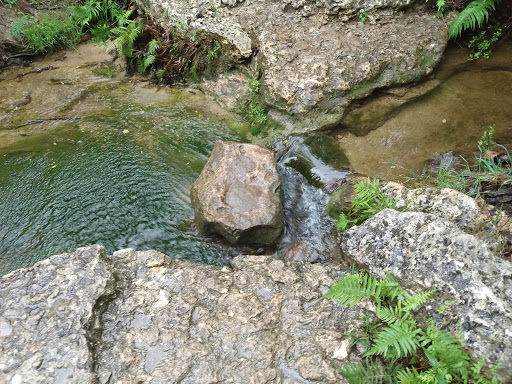 Park «Wild Basin Wilderness Preserve», reviews and photos, 805 N Capital of Texas Hwy, Austin, TX 78746, USA