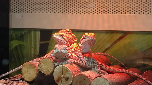 Pet Supply Store «PetSmart», reviews and photos, 291 Skokie Blvd, Northbrook, IL 60062, USA