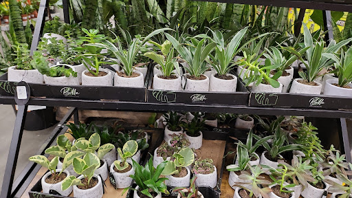 Home Improvement Store «The Home Depot», reviews and photos, 6000 Johnson Dr, Pleasanton, CA 94588, USA