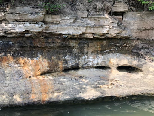 Marina «Mitchell Creek Marina», reviews and photos, 1260 Livingston Boat Dock Rd, Allons, TN 38541, USA