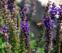 C-Nick Photography - Photo 6 - Car repair in , San Angelo