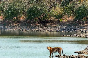 Tipeshwar Wildlife Sanctuary image