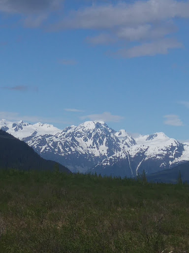 Florist «Nordlie Inc, - Detroit», reviews and photos, 25300 Guenther, Warren, MI 48091, USA