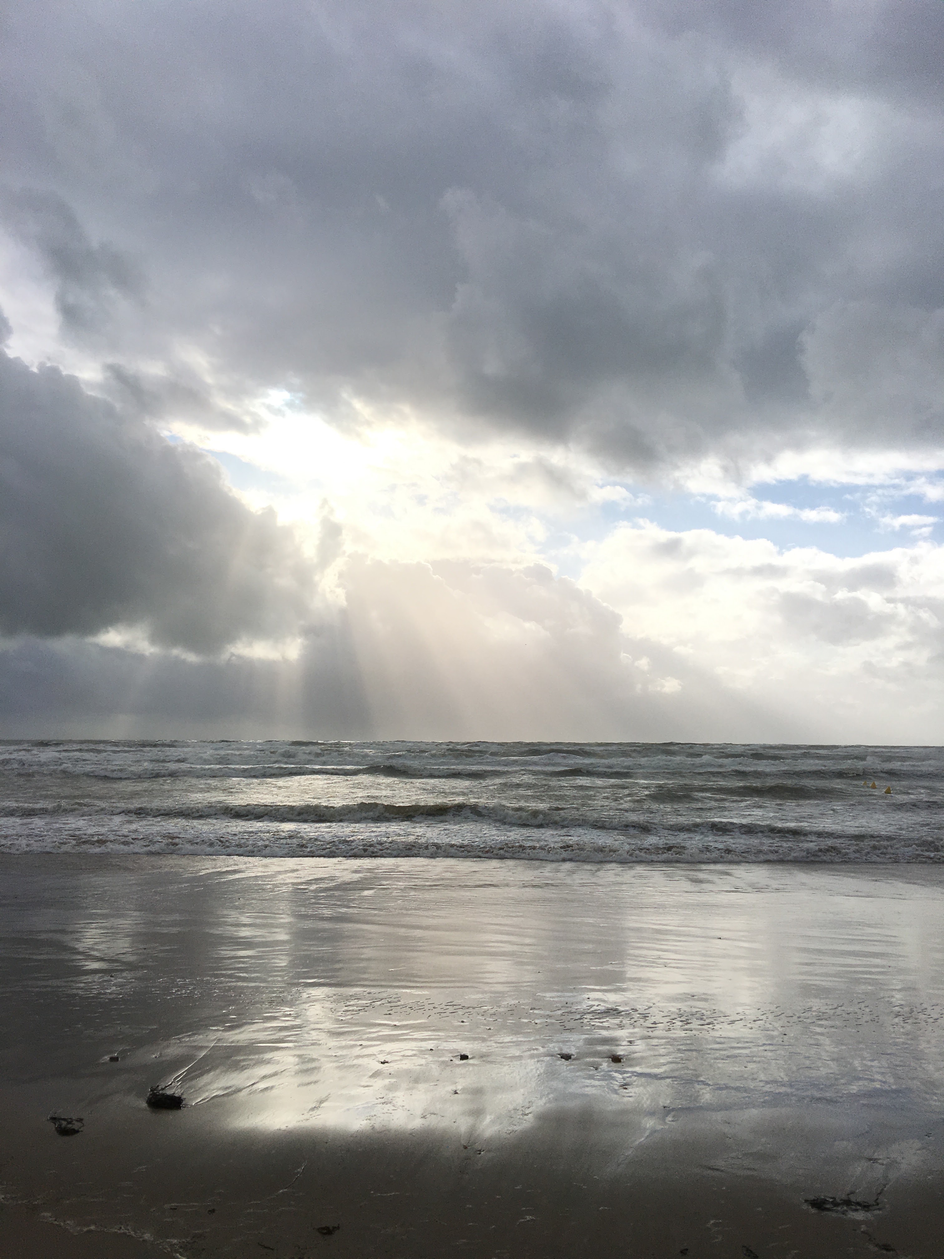 Photo n° 15 de l'avis de Alain.e fait le 17/02/2019 à 16:03